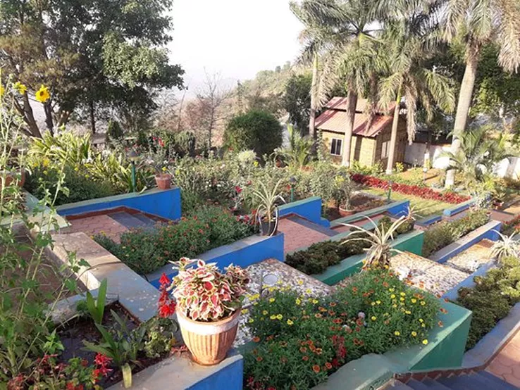 Step Garden Saputara