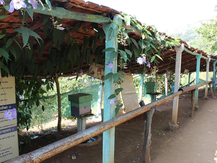 Honey Bees Centre