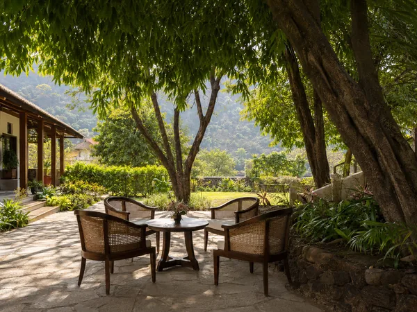 Shaded outdoor seating area in a peaceful garden setting