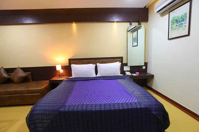 Deluxe Suite Room in Saputara