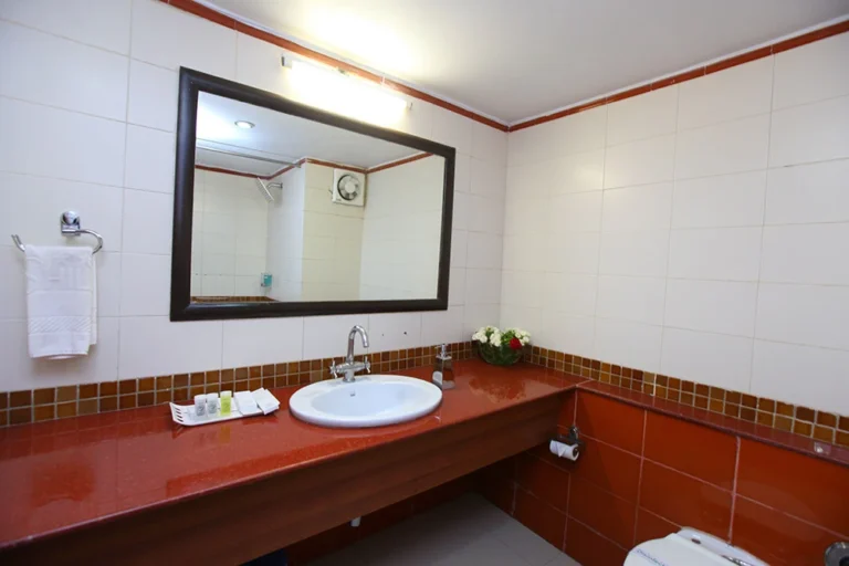 Deluxe Suite Room in Saputara