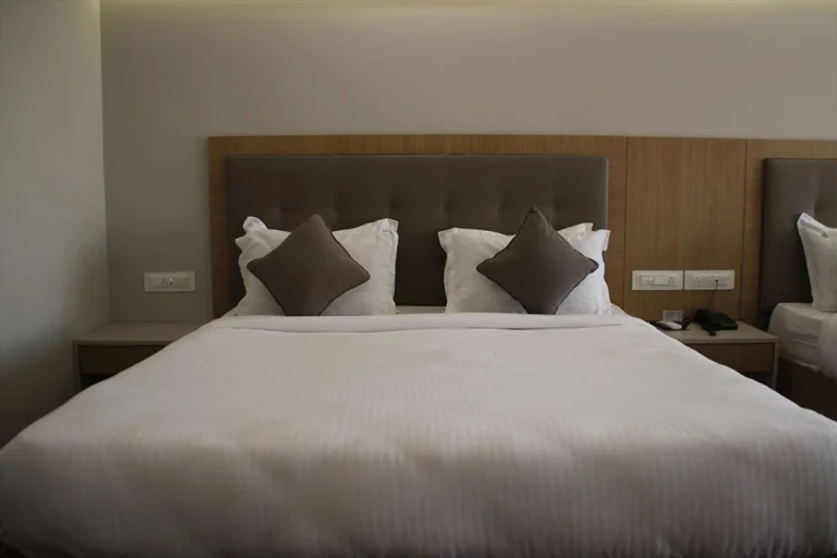 Superior Room Saputara
